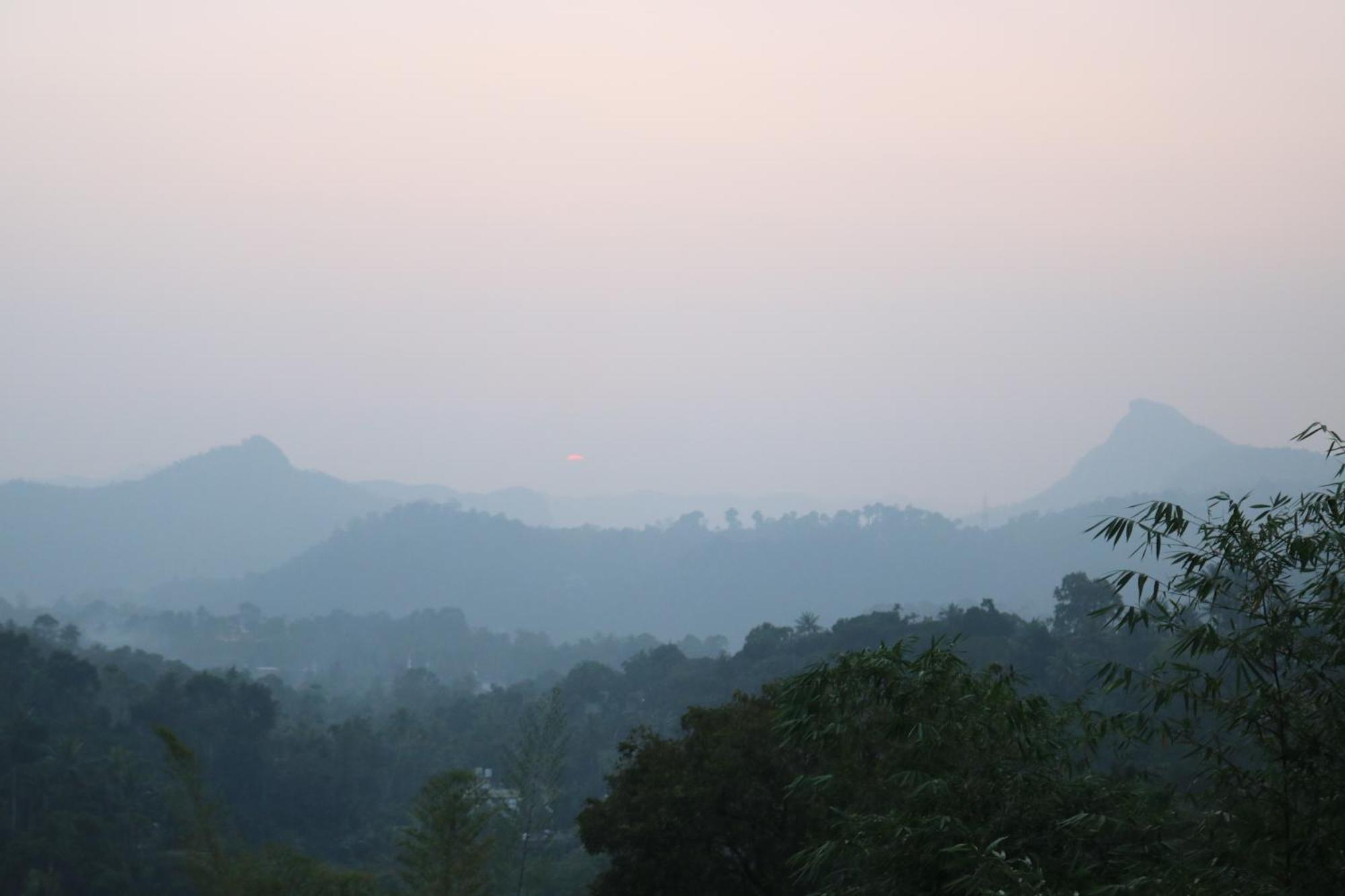 Asprin Homestay Munnar Luaran gambar