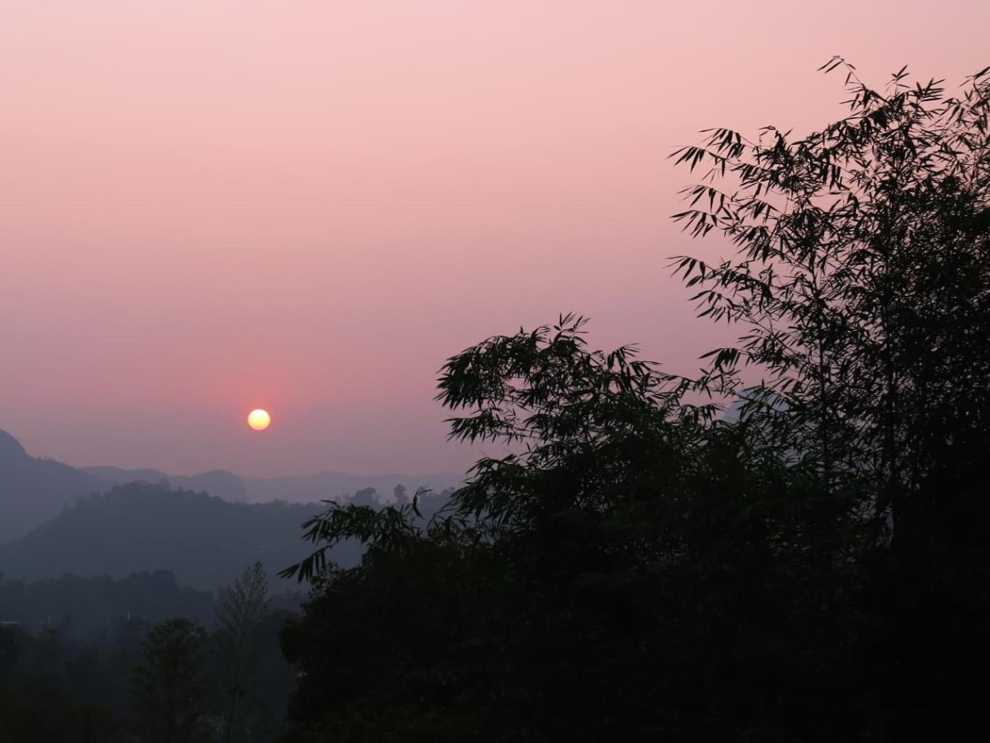 Asprin Homestay Munnar Luaran gambar
