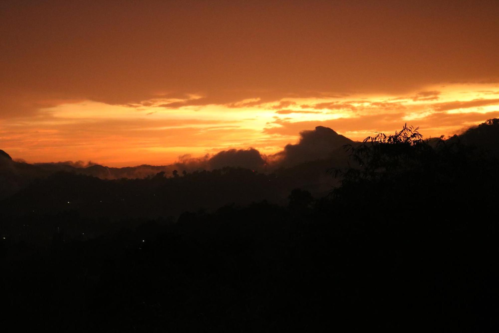 Asprin Homestay Munnar Luaran gambar