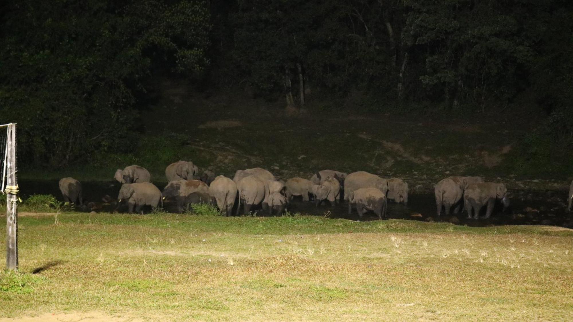 Asprin Homestay Munnar Luaran gambar